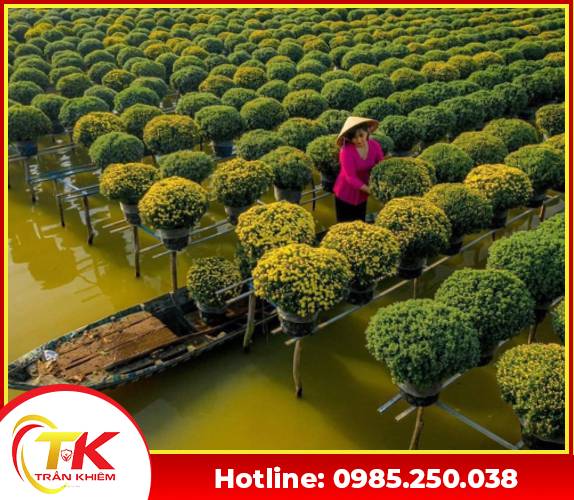 Tour Nam Kỳ Lục Tỉnh