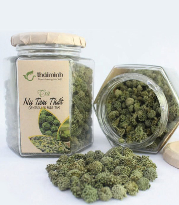 Trà nụ tam thất