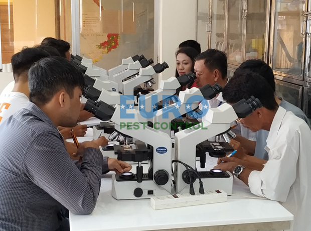 Hình ảnh công ty Âu Châu