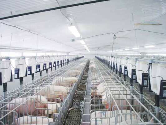 Cung cấp máy phát điện cho trang trại chăn nuôi ở Nam Định