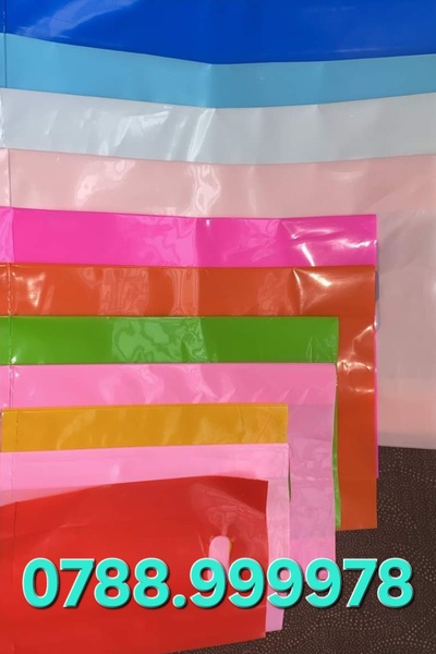 Túi hột xoài PE
