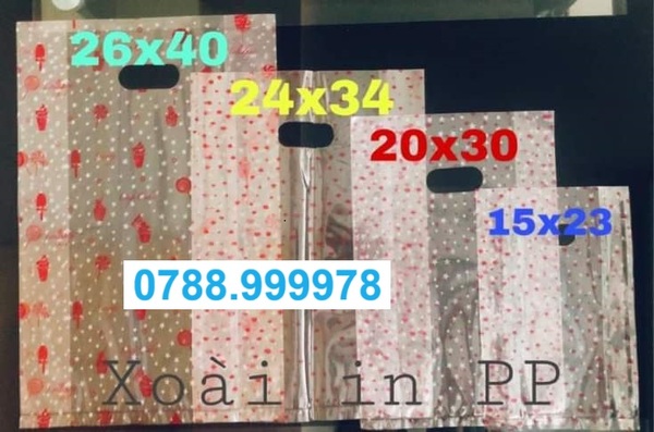 Túi xoài in PP