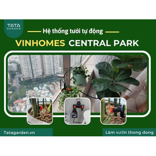 Thi công hệ thống tưới Vinhomes Central Park