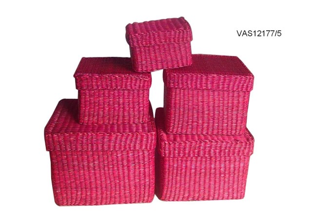VAS12177