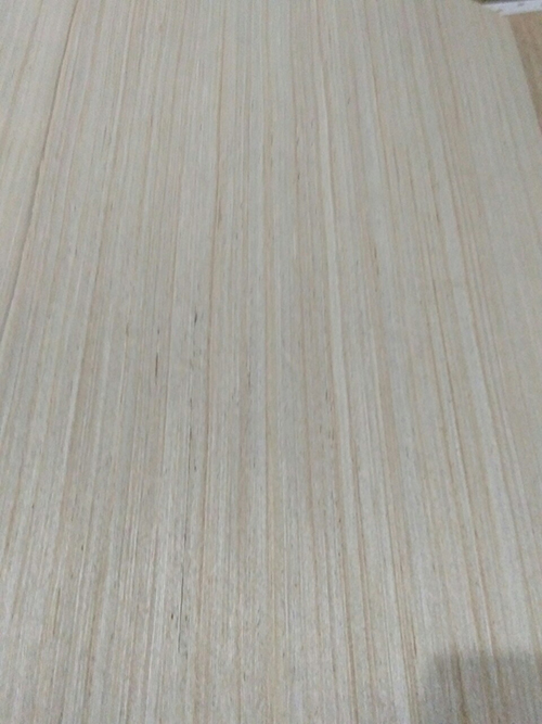 Veneer Evy