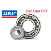 Vòng bi SKF