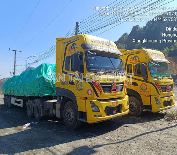 Vận chuyển Container và thiết bị Logistics hạng nặng