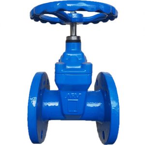 Van cổng DN100