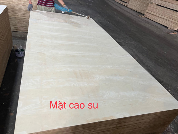 Ván ép mặt Cao su