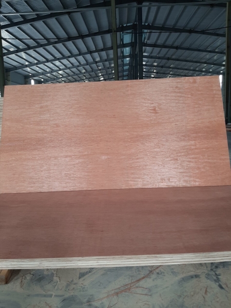 Ván ép mặt và lưng Bintagor - N1