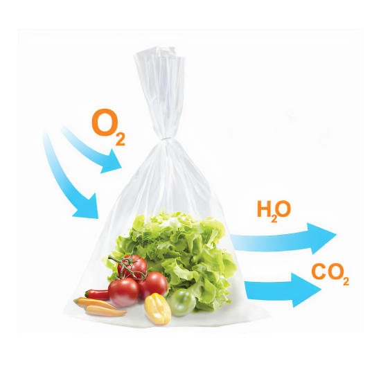 Túi GreenMAP Bảo Quản Rau Củ Quả