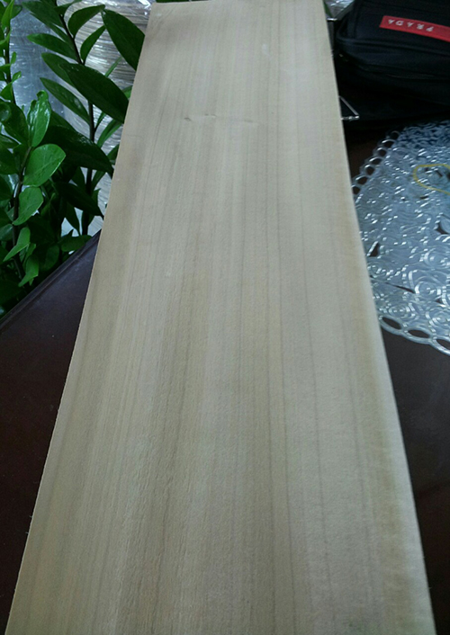 Veneer Poplar