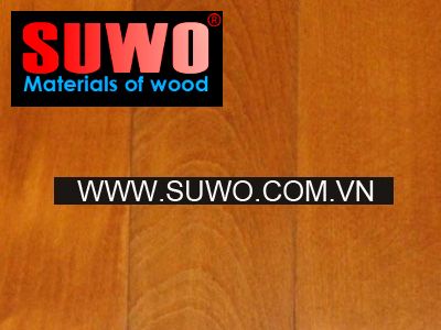 Veneer cam xe