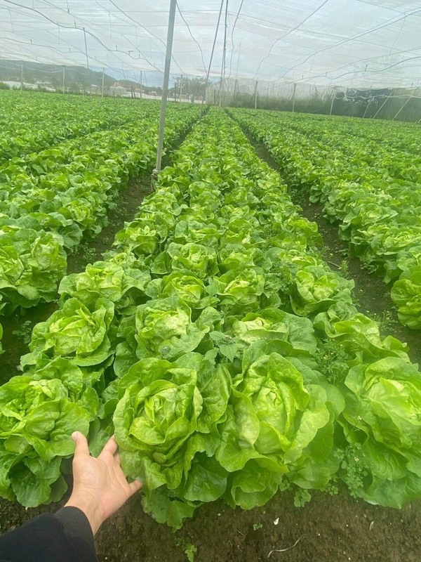 资质或荣誉图片