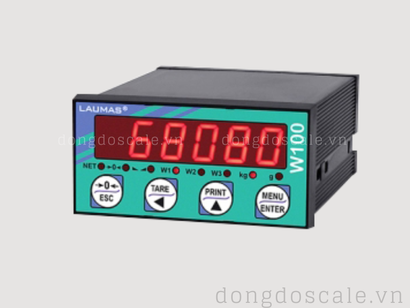 Bộ chỉ thị W100