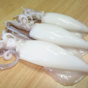 Mực tươi nguyên con đông lạnh