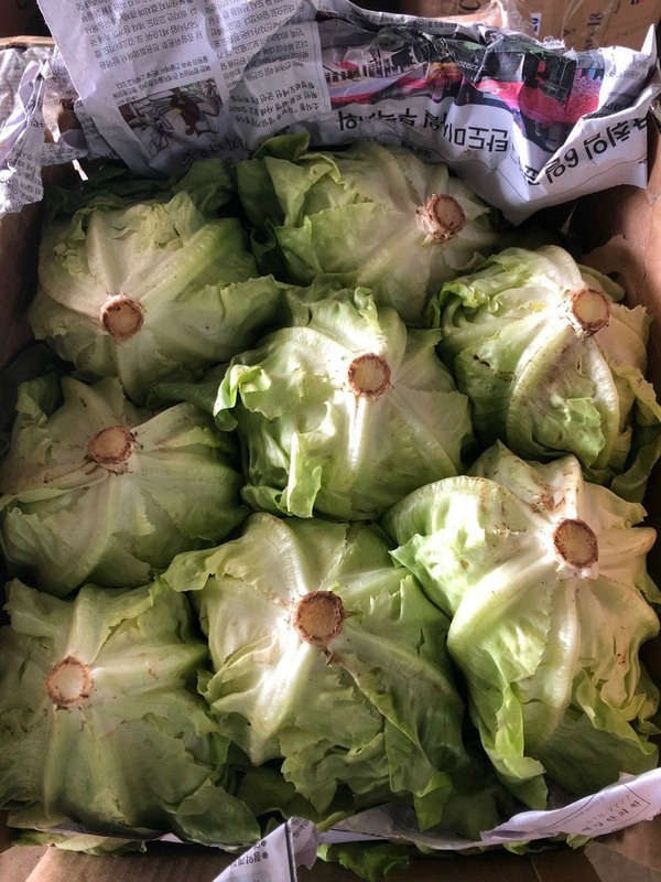 资质或荣誉图片
