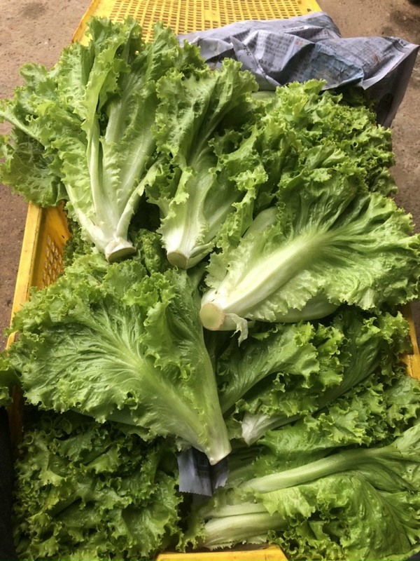 资质或荣誉图片