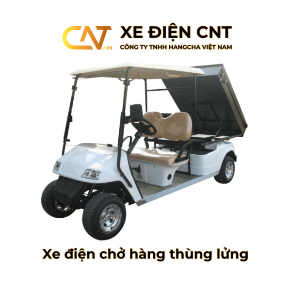 Xe điện chở hàng 2 chỗ CNT EG-05