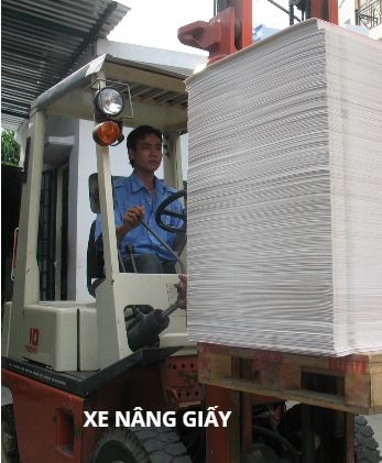 Xe nâng giấy