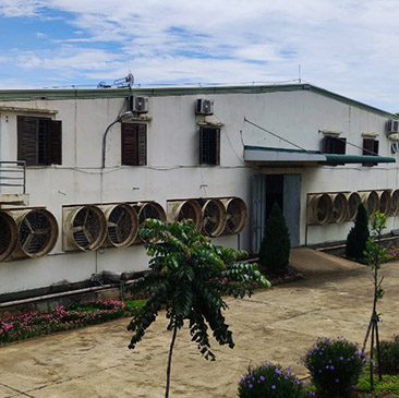 Xí nghiệp may 9 - Thanh Hóa