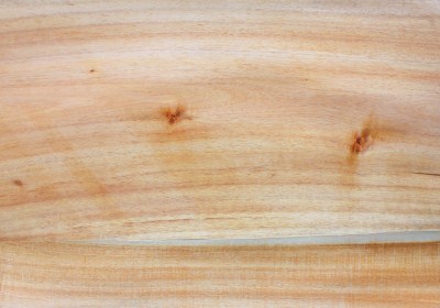 Veneer xoan vườn