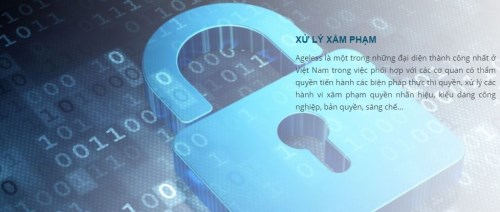 Xử lý xâm phạm