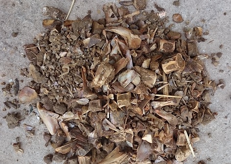 Vỏ Cá ngừ