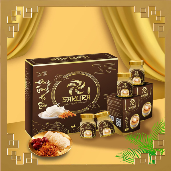 Yến sào Đông trùng hạ thảo