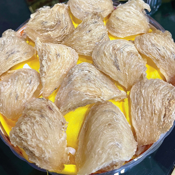 Quốc Bảo Yến Tiến Vua