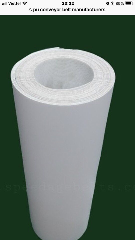 Băng tải phụ kiện băng tải