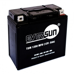 Ắc quy kín khí TSM1250MFH