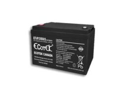 Ắc quy ECOTEK 12V-100Ah