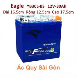 Bình ắc quy Toplite gel Eagle 12V 30Ah