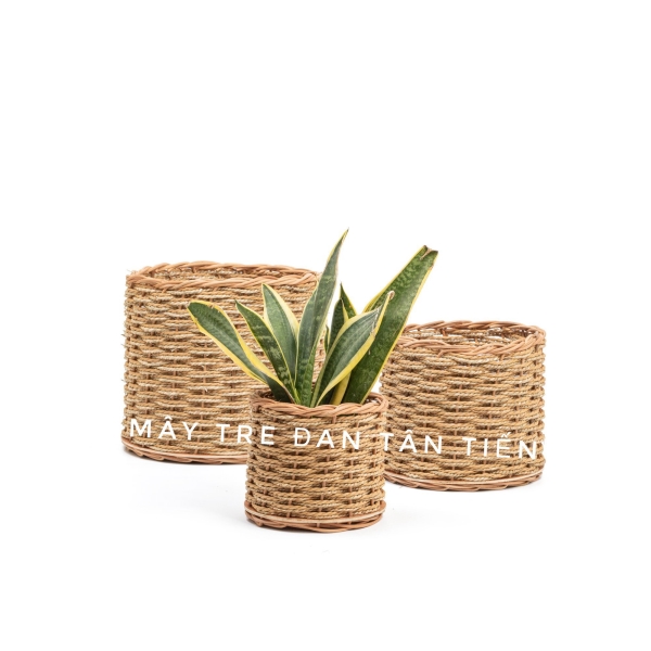 Chậu trồng cây mây tre đan