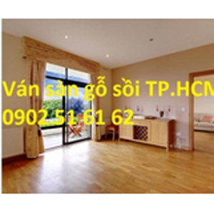 Ván sàn gỗ Sổi Mỹ