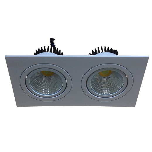 Đèn led âm trần đôi