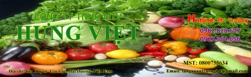 Thực Phẩm Hưng Việt