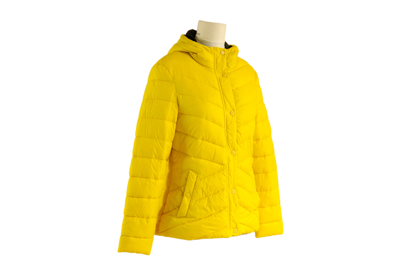 Áo phao, áo jacket, áo lông vũ