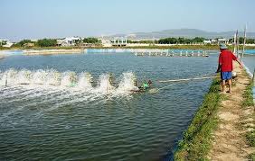 Thiết bị xử lí ao đầm, thủy sản