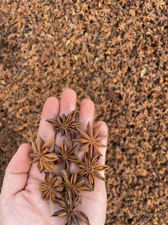 Sản phẩm hồi thu hoạch mùa thu