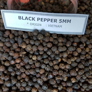 Túi dược phẩm