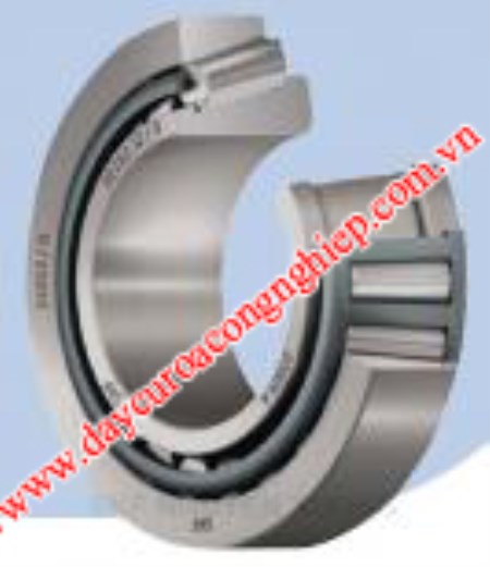 Bạc đạn SKF