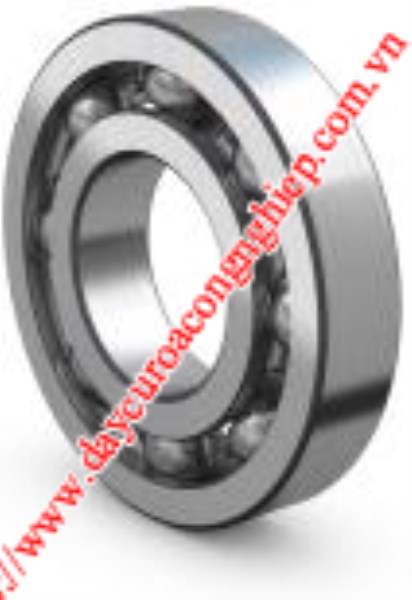 Bạc đạn SKF