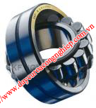 Vòng bi, bạc đạn SKF