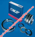 Vòng bi, bạc đạn SKF