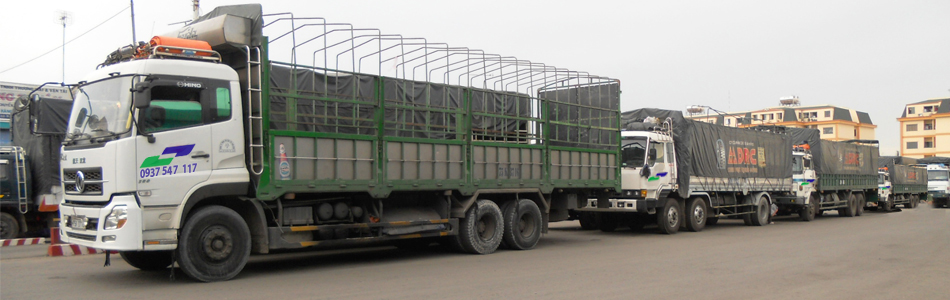 Vận chuyển hàng hóa Bắc Nam
