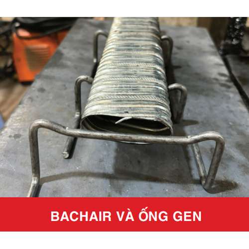 Bachair và ống gen