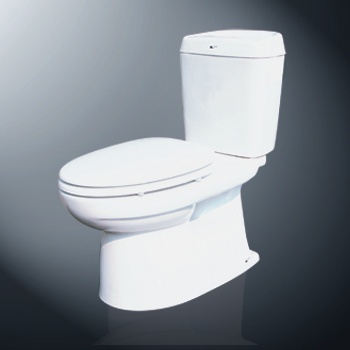Bàn cầu 2 khối Inax C702 Vn màu nhạt