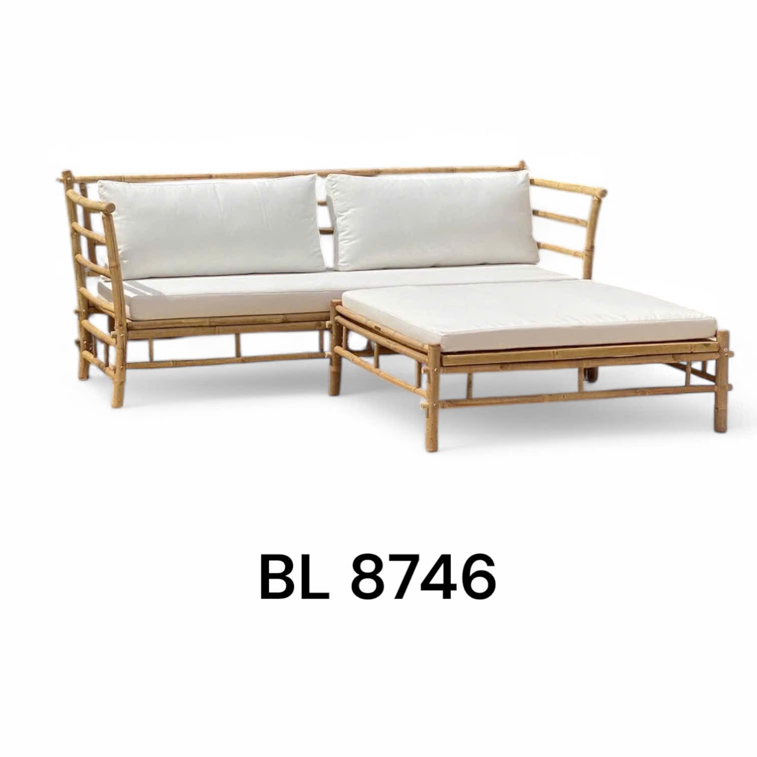 Bàn ghế sofa BL 8746